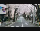 すっぴん【唄：マクネナナ】