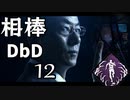相棒DBD１２