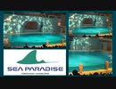 2021/8/28 横浜・#八景島シーパラダイス  #ナイトショー【#LIGHTIA】Yokohama Hakkeijima Sea Paradise #イルカ #シロイルカ dolphin