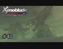 広大な世界での復讐と創世の物語【Xenoblade実況】#40