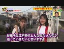 #196谷根千