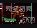 【女性実況】卒論に追われた女子大生たちがハードな世界に逃避する#12【terraria テラリア ハードモード】