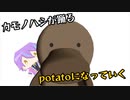 【プロセカMMD】カモノハシが踊るpotatoになっていく