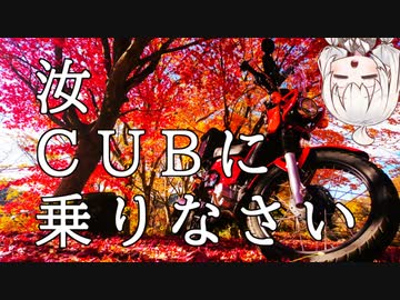【ボイロ車載】汝、CUBに乗りなさい【4回目 筒賀の大銀杏・ほとけばら遊園】