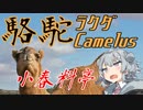 【第二回手抜き祭】小春料亭　六皿目【駱駝肉】