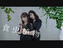 【詩紅】食虫植物 踊ってみた【Sawori】
