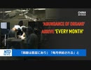 囚人の臓器を抜いて売りました・ホラー映画を現実化した中国の臓器狩り