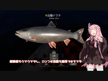 茜お姉ちゃんが川釣りのバイトをする話　10月号