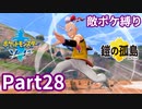 ポケモン剣ではエール団(悪)のポケモン縛りでやっていくPart28