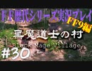 ファイナルファンタジー歴代シリーズを実況プレイ‐FF9編‐【30】