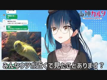 ウツボと薄皮チョコパンが好きな山神カルタ【にじさんじ切り抜き/山神カルタ】