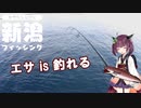 きりたんと行く新潟フィッシング　part２　エサ釣りなのです