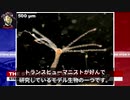 「寄生虫を人に注射している」ファイザーワクチンの中身：キャリー・マディ医師：STEW PETERS SHOW 2021年10月20日