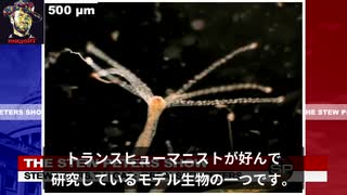 「寄生虫を人に注射している」ファイザーワクチンの中身：キャリー・マディ医師：STEW PETERS SHOW 2021年10月20日