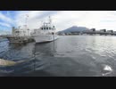 ある日の桜島（その２９９）＜さつかぜ（CL-01）といそしお（HS-22）と漁船と魚類市場と桜島＞