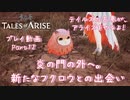 【ゆっくり実況】テイルズの古参が、アライズをやるよ！ Part12～炎の門の外へ。新たなフクロウとの出会い
