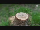 通りすがりの犠牲者