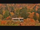 【のら】留萌線の紅葉を見てみたかった