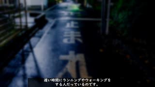 【VOICEROID劇場】夜道