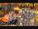 【解説実況】黄金の太陽 漆黒なる夜明け おだやかな完全解説実況プレイ【part23】