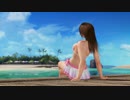 【DoaX3】グラビアパラダイスランダム 102615