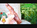 【ハロウィン】いたずら☆びっくり！呪術廻戦！両面宿儺の指クッキーの作り方【料理】【ゆっくり実況】