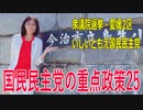 【第49回衆議院議員選挙 愛媛2区】立候補者いしいともえ国民民主党の重点政策25【比例四国】