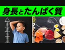 子供の身長とたんぱく質の関係について | 管理栄養士が解説【ビーレジェンド プロテイン】