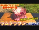 【衝撃】最新肉料理がかっこよ過ぎた!!『ラムクラウンの作り方』