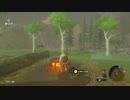 野生の息吹を感じよ【ゼルダの伝説　ブレス オブ ザ ワイルド実況プレイ】part3