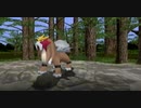 もう窃盗団に転職するわPart10【ポケモンコロシアム実況プレイ】