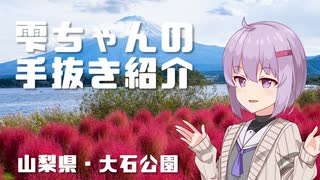 【第二回手抜き祭】雫ちゃんの手抜き紹介・山梨県／大石公園