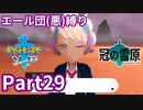 ポケモン剣ではエール団(悪)のポケモン縛りでやっていくPart29
