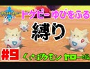 ジムチャレンジ縛りプレイ開幕【ポケットモンスター ソード】#9