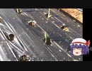 ゆっくり農民171ニンニクを育ててみませんか？＃10