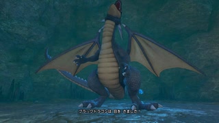 ドラゴンクエスト11 65常闇の魔物を探せ！勇者＋グレイグの最強コンビ爆誕！