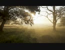 【NNI/インスト】Norwegian Squirrel 'Walz'【オリジナル曲】