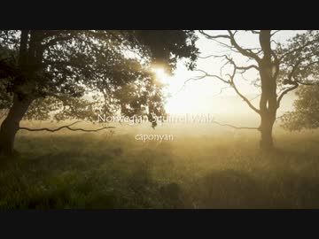 【NNI/インスト】Norwegian Squirrel 'Walz'【オリジナル曲】