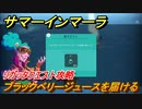 サマーインマーラ　ブラックベリージュースを届ける　リガッタクエスト攻略　ファーミングアドベンチャーゲーム　＃１１９【summer in mara】