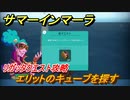 サマーインマーラ　エリットのキューブを探す　リガッタクエスト攻略　ファーミングアドベンチャーゲーム　＃１２１【summer in mara】