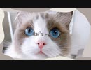 はじめまして、Raiと申します