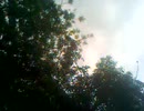 video000.mp4