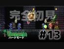 【女性実況】卒論に追われた女子大生たちがハードな世界に逃避する#13【terraria テラリア ハードモード】