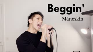 【歌ってみた】Beggin' - Måneskin