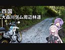 【ゆかいあ車載】 SEROWでしばらく旅にでます [Part8]　四国_大森川ダム周辺林道