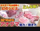 【幻のジビエ】アナグマのホルモン捌いてみた