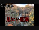 紅葉見にい紅葉2021