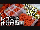 【LEGO】超高速早送りレゴ完全仕分け動画【琴葉茜いません】