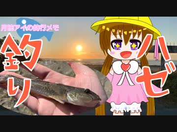 月読アイの釣行メモ part10【VOICEROIDフィッシング】