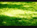 癒しオリジナル曲 「陽だまり」 Original Music